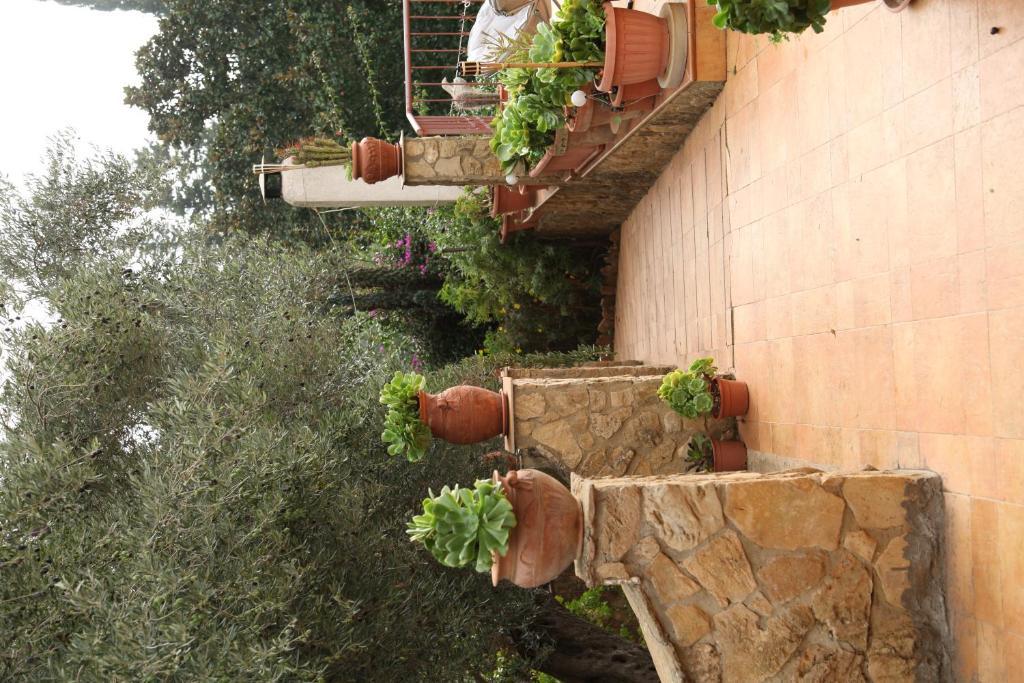 B&B Villa Casablanca Энна Экстерьер фото